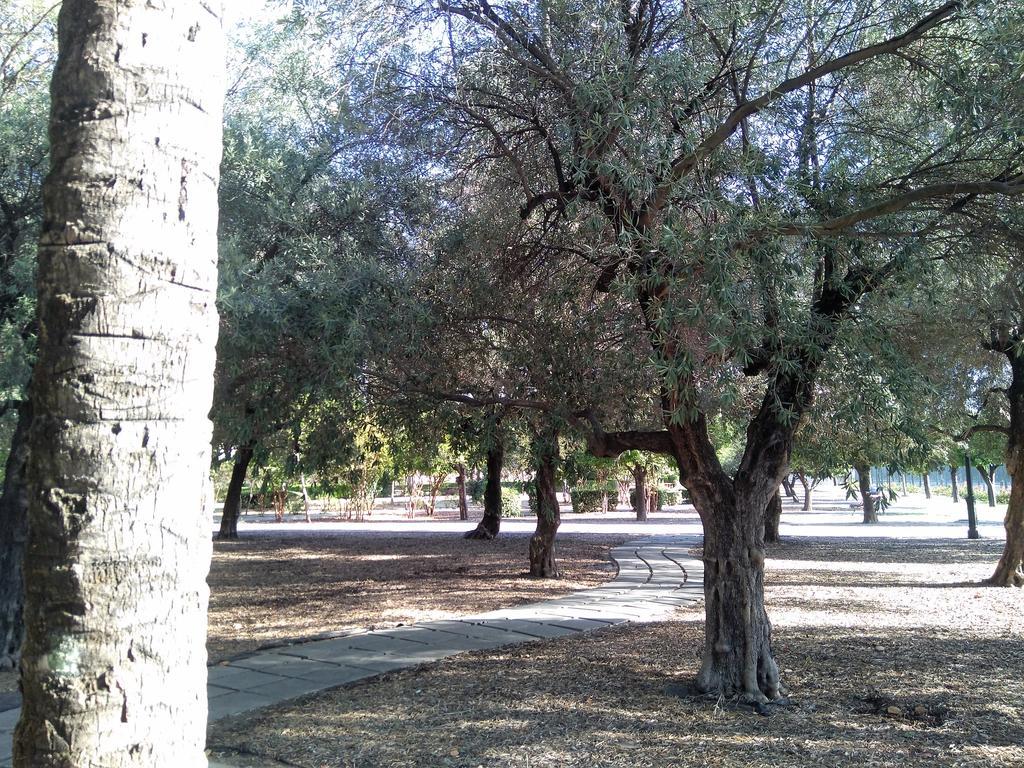 Apartamento Buhaira Siviglia Esterno foto