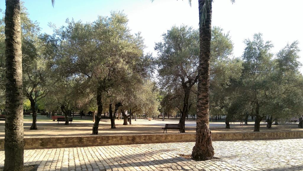 Apartamento Buhaira Siviglia Esterno foto